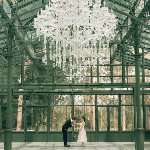 yongsheng victorian style iron glass greenhouse Steel and glass greenhouse for sale